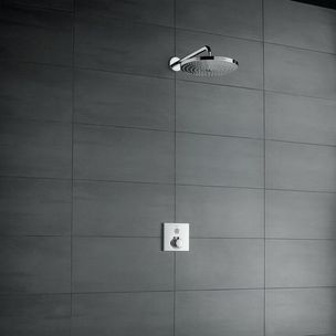 Hansgrohe Raindance