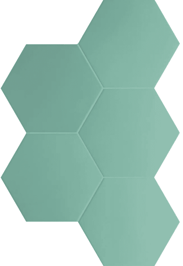 Equipe Coimbra Jade 17.5x20 ID 515334 - 1