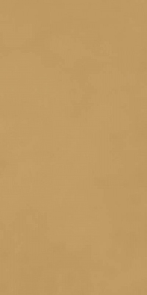 Ragno Decora Senape 60x120 ID 500686 - 1