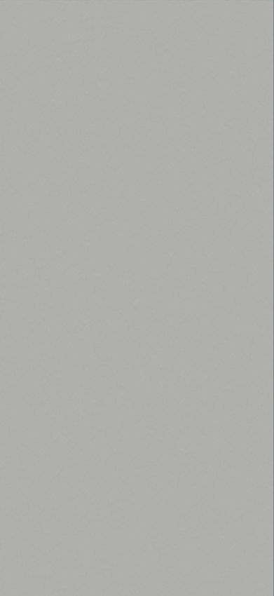 Belleza Eva Grey 60x120 ID 533694 - 1