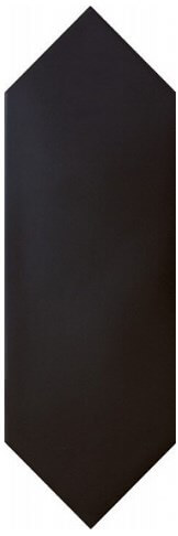 Equipe Kite Black 10x30 ID 269690 - 1
