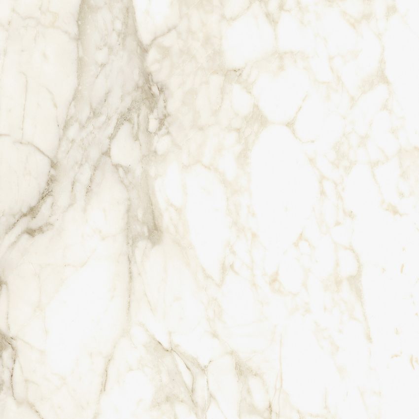 ColiseumGres Michelangelo Ворм 60 Рет 60x60 ID 498814 - 1