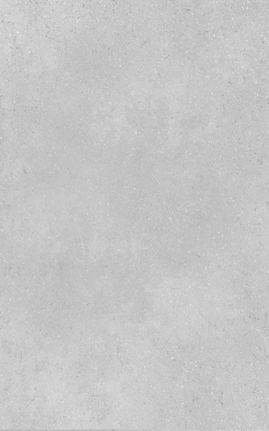 Creto Misty Light 25x40 ID 461163 - 1