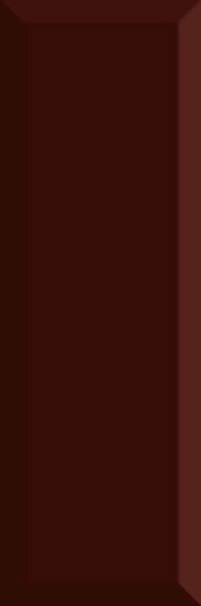 Absolut Keramika Monocolor Biselado Brillo Marron 10x30 ID 92944 - 1