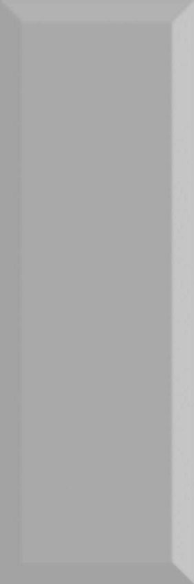 Absolut Keramika Monocolor Biselado Brillo Plata 10x30 ID 154535 - 1