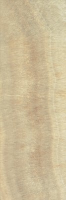 Iris Muse Flame 25x75 ID 78727 - 1