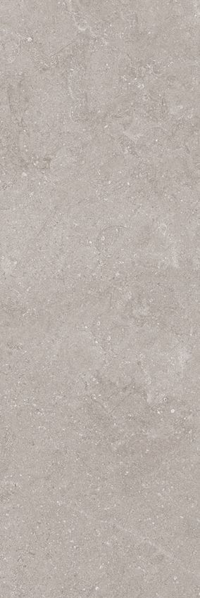 El Molino Next Taupe 40x120 ID 506781 - 1