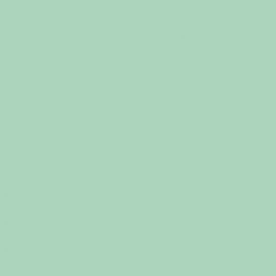 41zero42 Pixel41 Mint 11.5x11.5 ID 457533 - 1