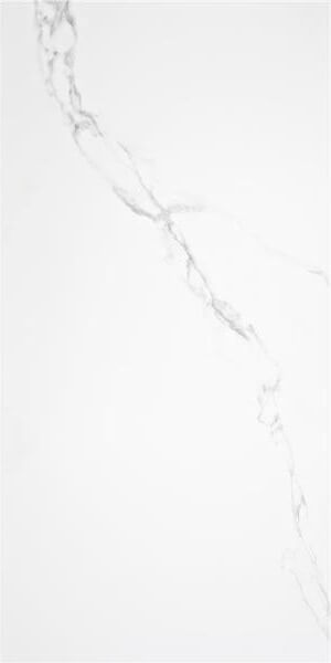 Alaplana Pune Blanco 60x120 ID 396018 - 1