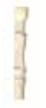 Supergres Selection AE Listello Beige 1x10 ID 131456 - 1