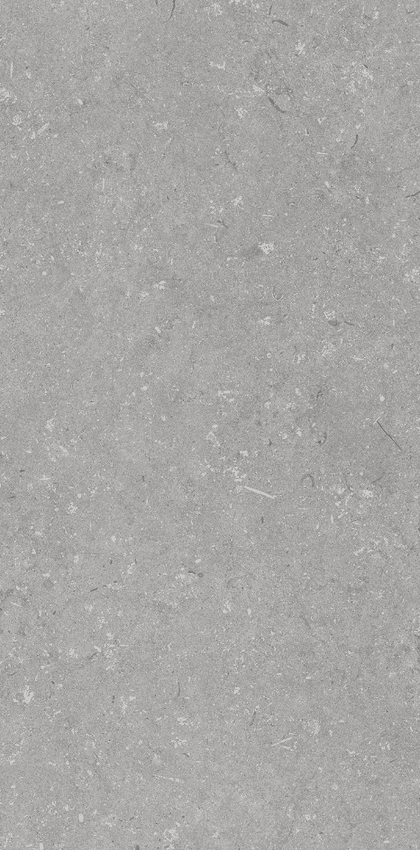 Dado Ceramica Shellstone Grigio 60x120 ID 516091 - 1
