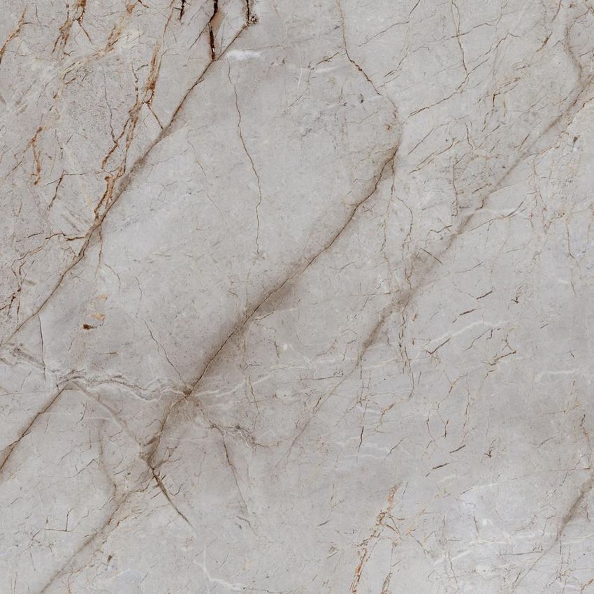 Laparet Silver Root 60x60 ID 465960 - 1