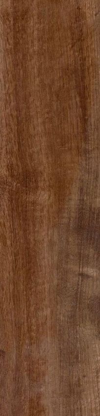 Sadon Tabula Cappuccino 15x61 ID 516825 - 1