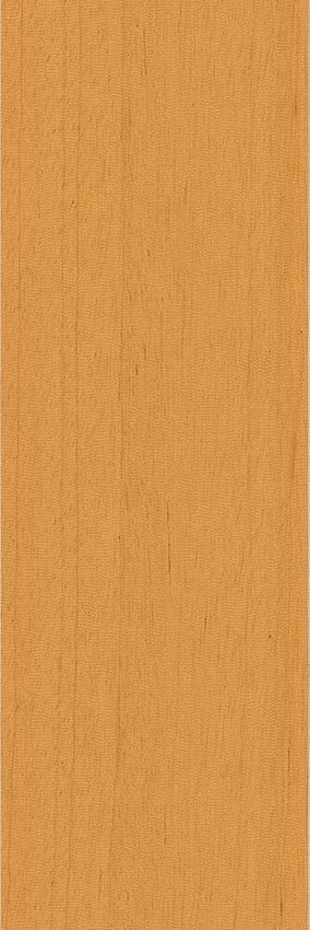 41zero42 Technicolor Orange 5x37.5 ID 375197 - 1