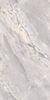 Belleza Argenta Grey 60x120 ID 533677