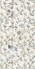 APE Caprice Creeper White Rect 60x120 ID 560421