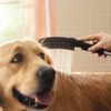 Душевая лейка Hansgrohe DogShower