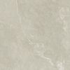 Cayyenne Ceramiche Firestone Greige M. 60x60 ID 528453