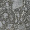 Ceppo Apuano Quartz 80x80 Полированная