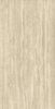 Atlas Concorde Marvel T Romano Sand HCQG 60x120 ID 551010
