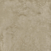 Taupe Touch 60x60