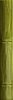 41zero42 Milano70 Bamboo Olive 4x31 ID 554625