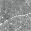 Гранитея Payer Black 60x60 ID 563303