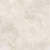 Porcelanite Dos Rapolano White Soft Touch Natural 100x100 ID 548862