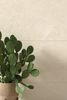 ARTCER Stone Flurry Crema Feel Infinity MATT 60x120 ID 2188 - 4