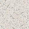 Pamesa Terrazzo Grigio 60x60 ID 536445