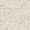 Pamesa Terrazzo Terra 60x60 ID 536447